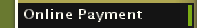 Online Payment